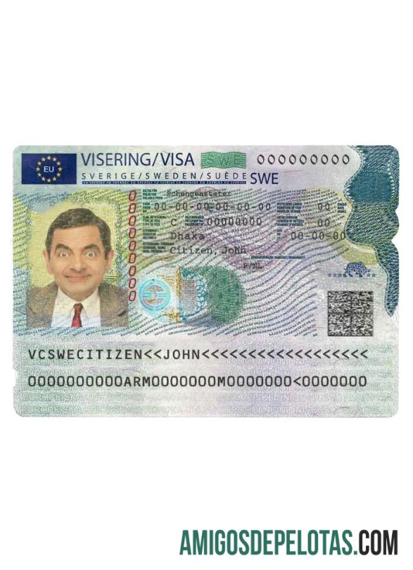 Visto Schengen para a Suécia exemplo real